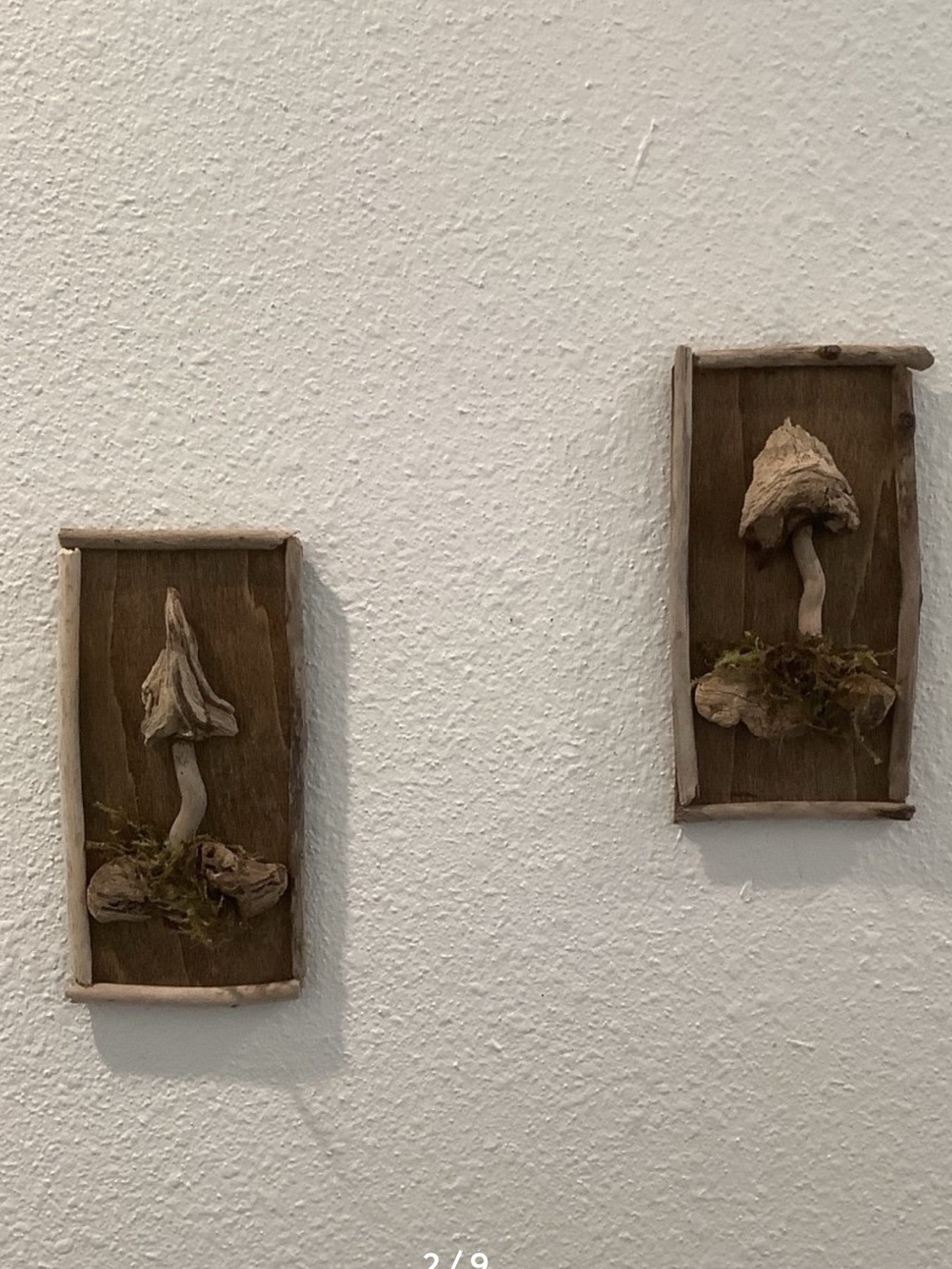 Driftwood Art, Driftwood Mushrooms ,Framed Driftwood Mushrooms,Mushroom Wall Art